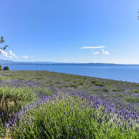 Sea View Ela Апартаменти