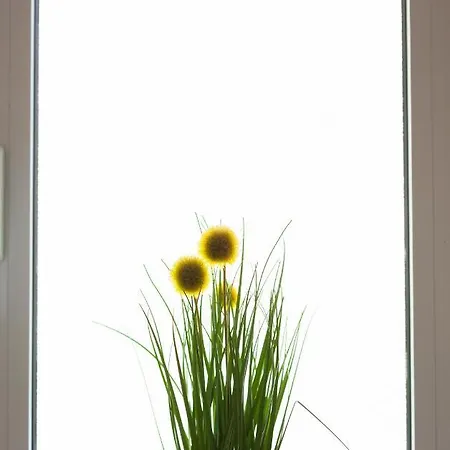 Sea View Ela Apartament